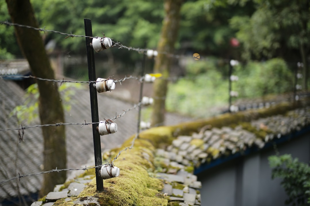 Isolation thermique efficace avec la vermiculite