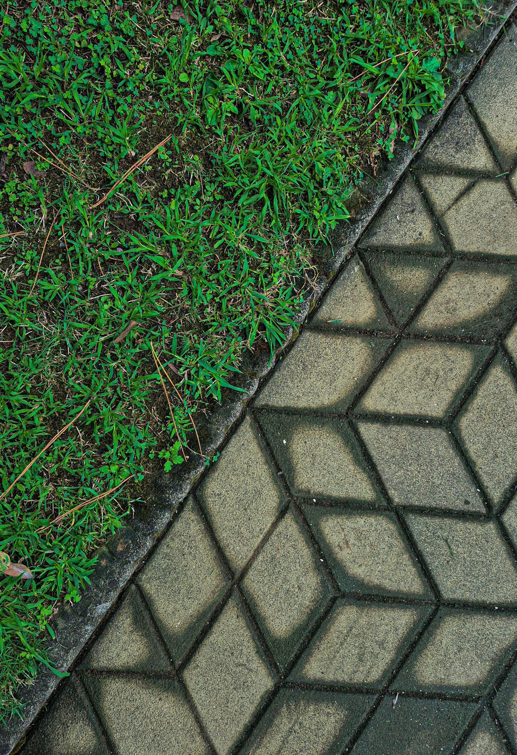 Durabilité des bordures en béton pour jardin
