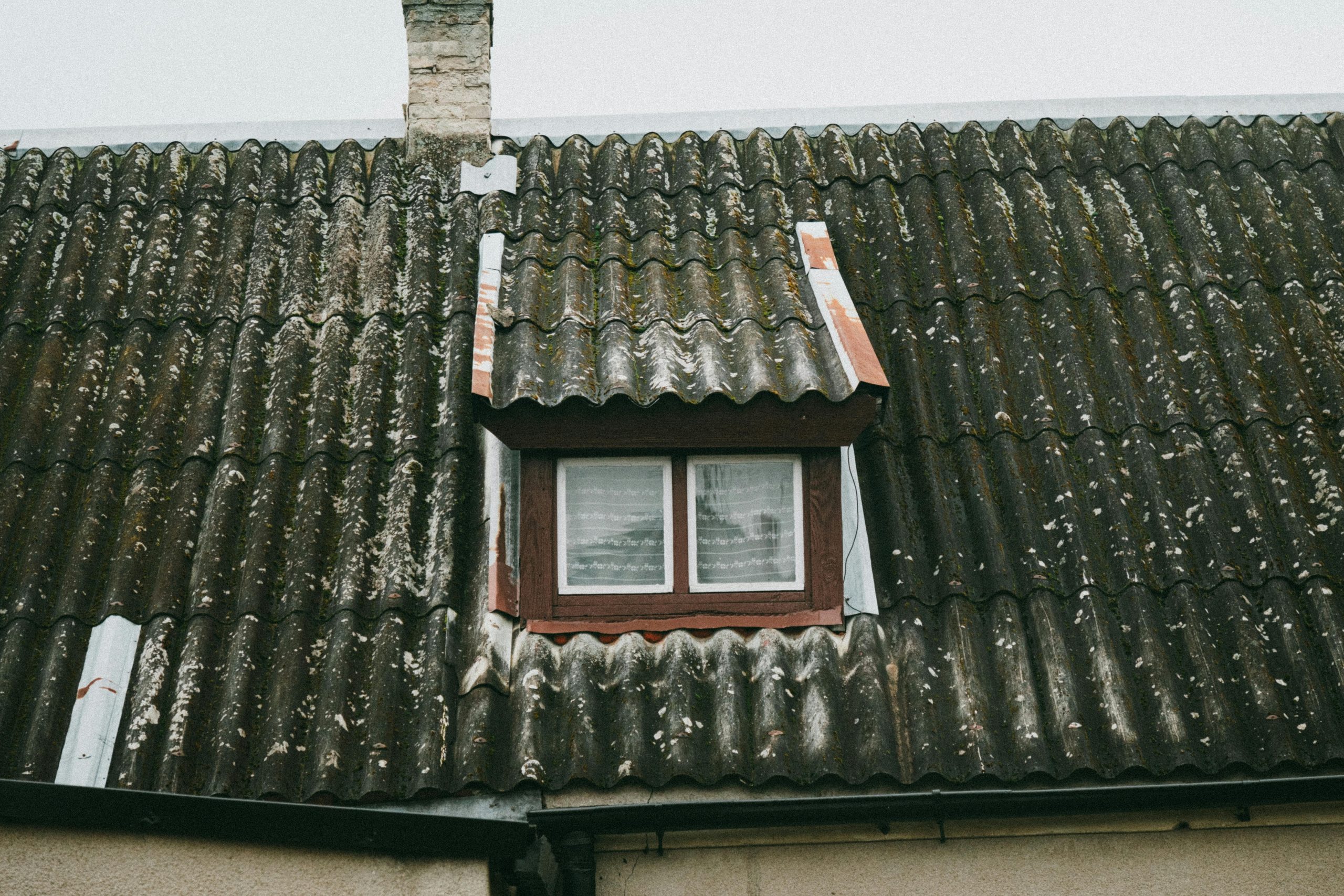 Detailed view of a moss-covered roof with a small window in rural Poland, capturing rustic charm. Vue détaillée d'un toit couvert de mousse avec une petite fenêtre en Pologne rurale, capturant le charme rustique.