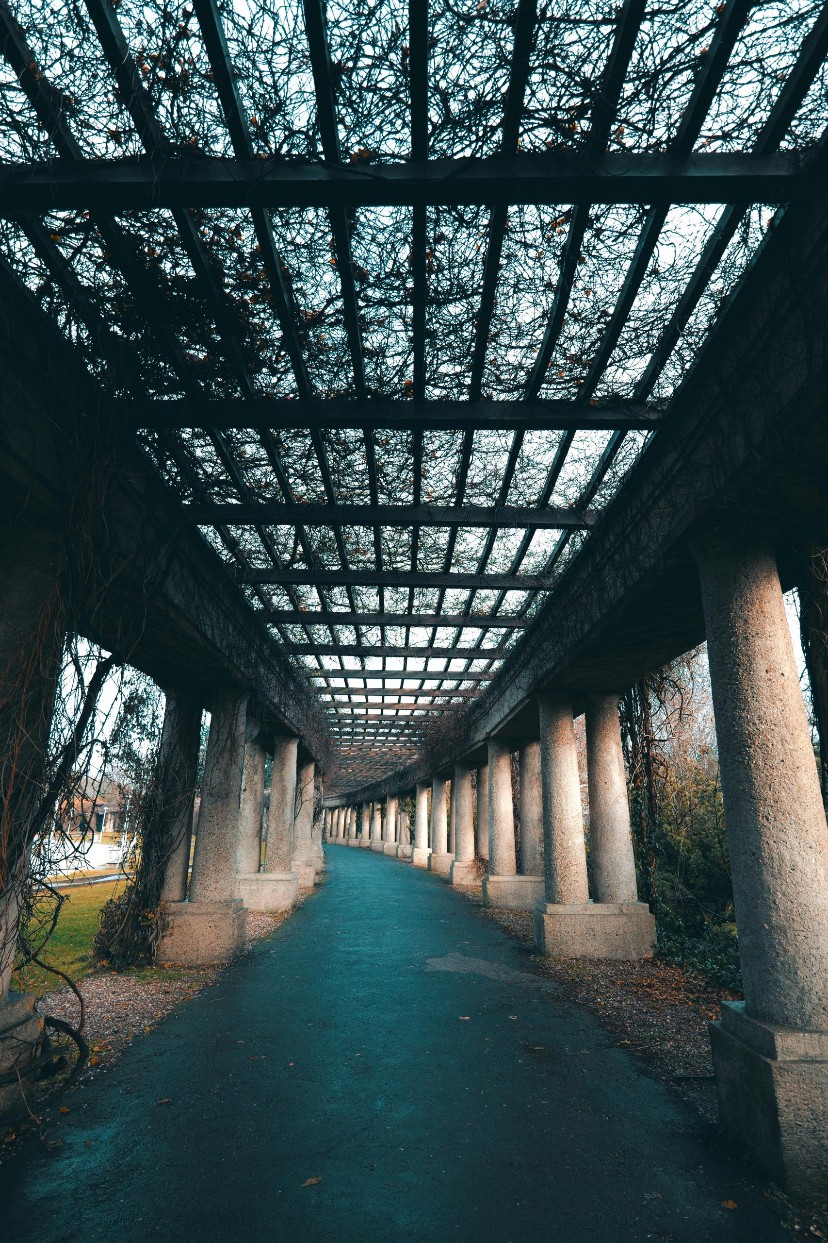 Couvrir pergola pluie protection