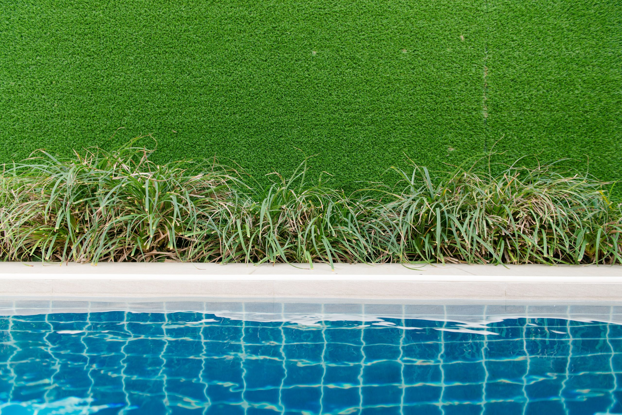 A vibrant swimming pool beside neatly trimmed grass and artificial turf, ideal for summer themes. Une piscine vibrante à côté d'une pelouse bien entretenue et de gazon artificiel, idéale pour les thèmes d'été.
