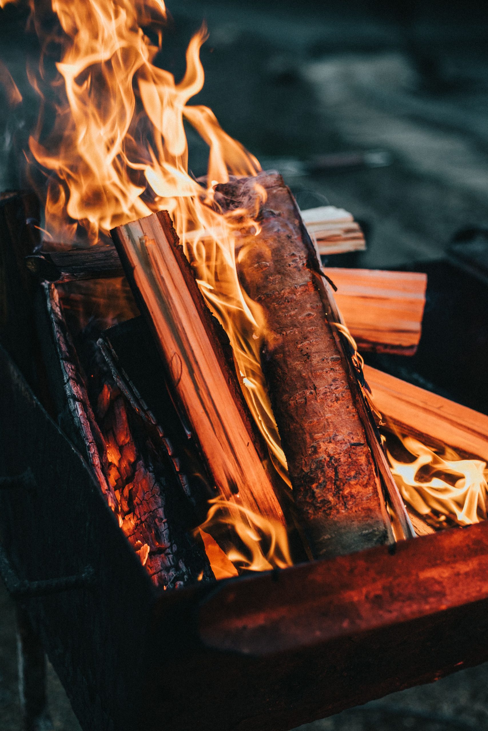 Efficacité du bois de laurier pour chauffage
