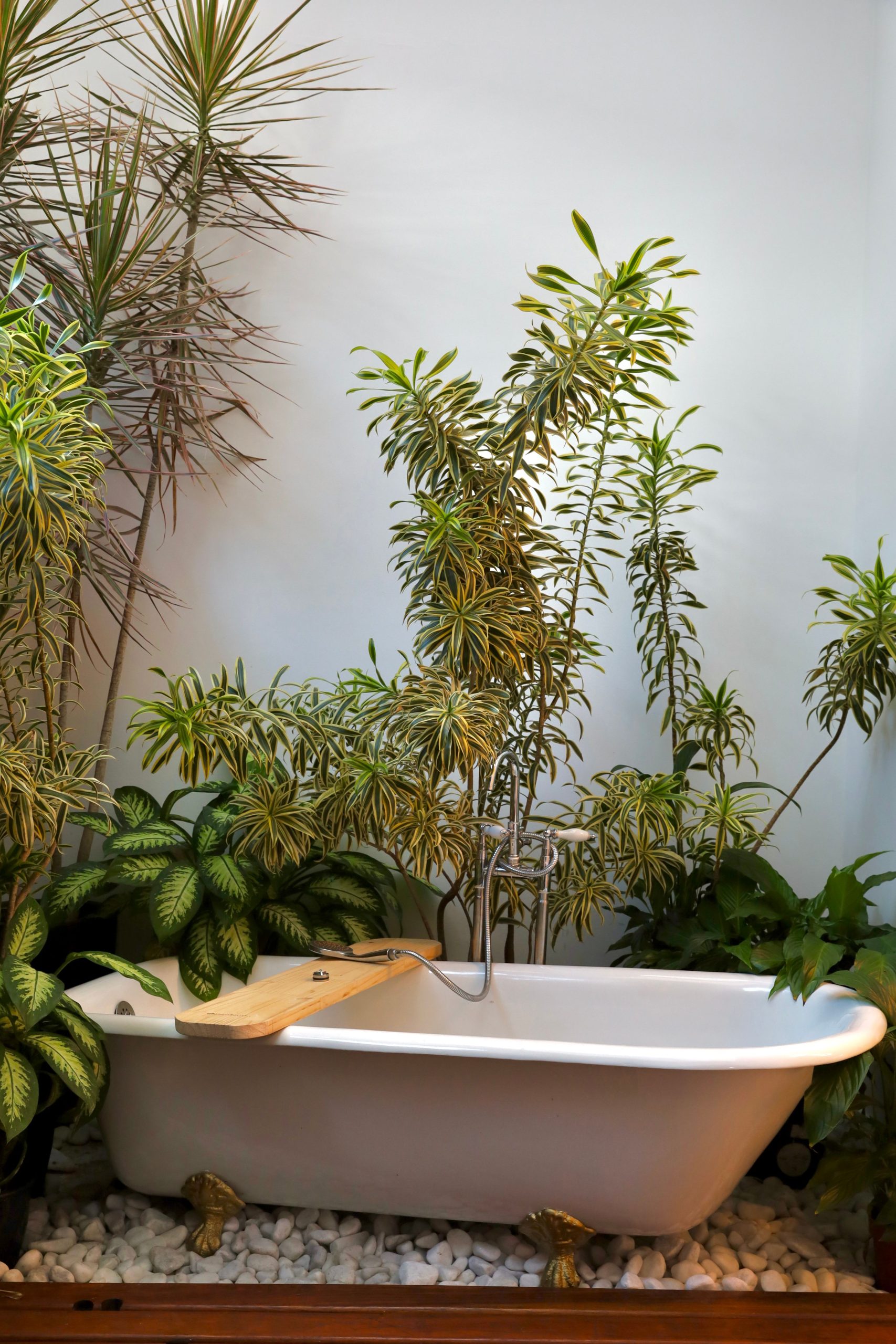 Coin spa intérieur petit espace