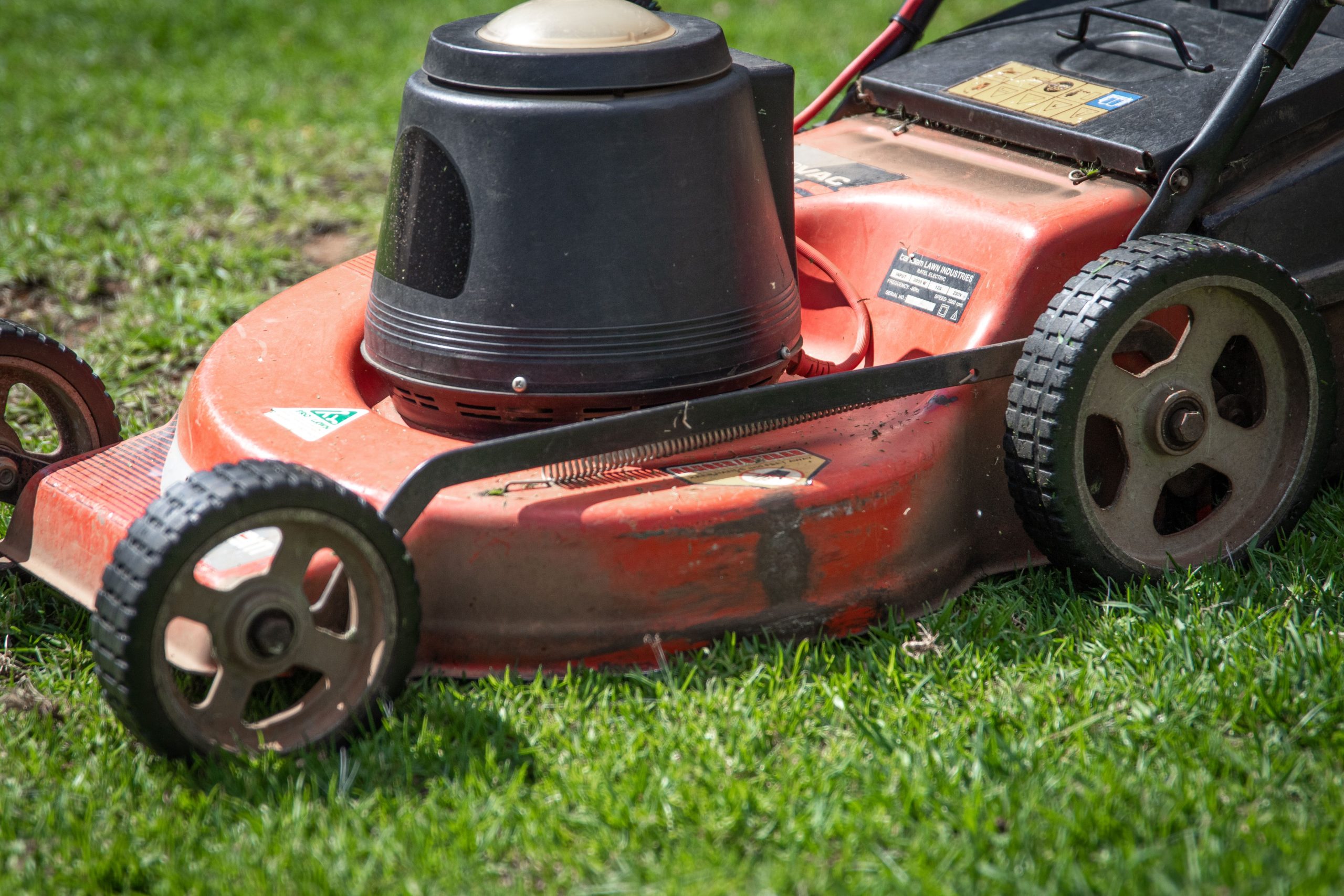A close-up view of a red lawn mower on a green lawn, showcasing its details. Une vue rapprochée d'une tondeuse à gazon rouge sur une pelouse verte, mettant en évidence ses détails.