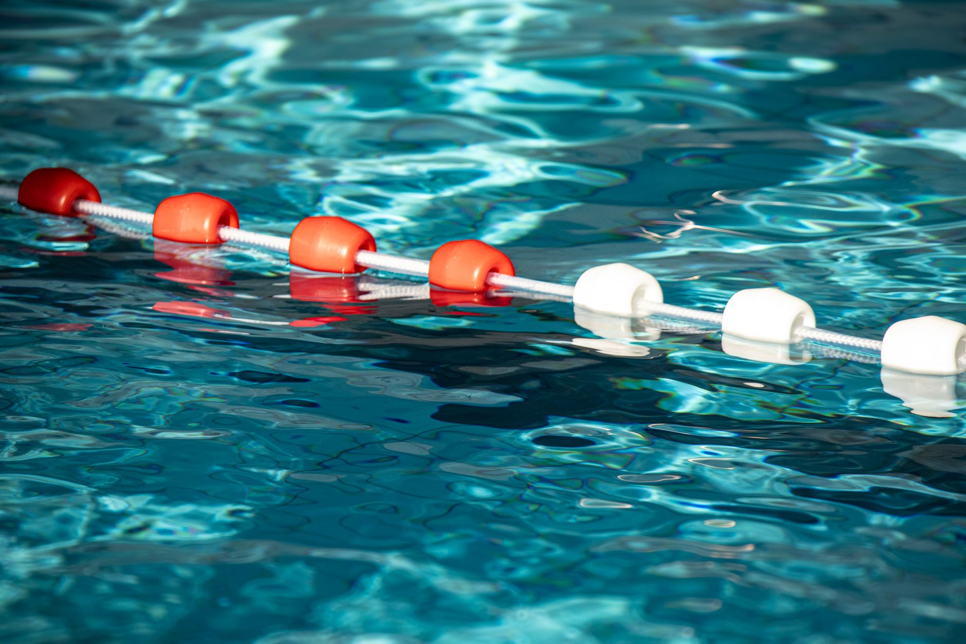 Bouées colorées flottant sur la piscine