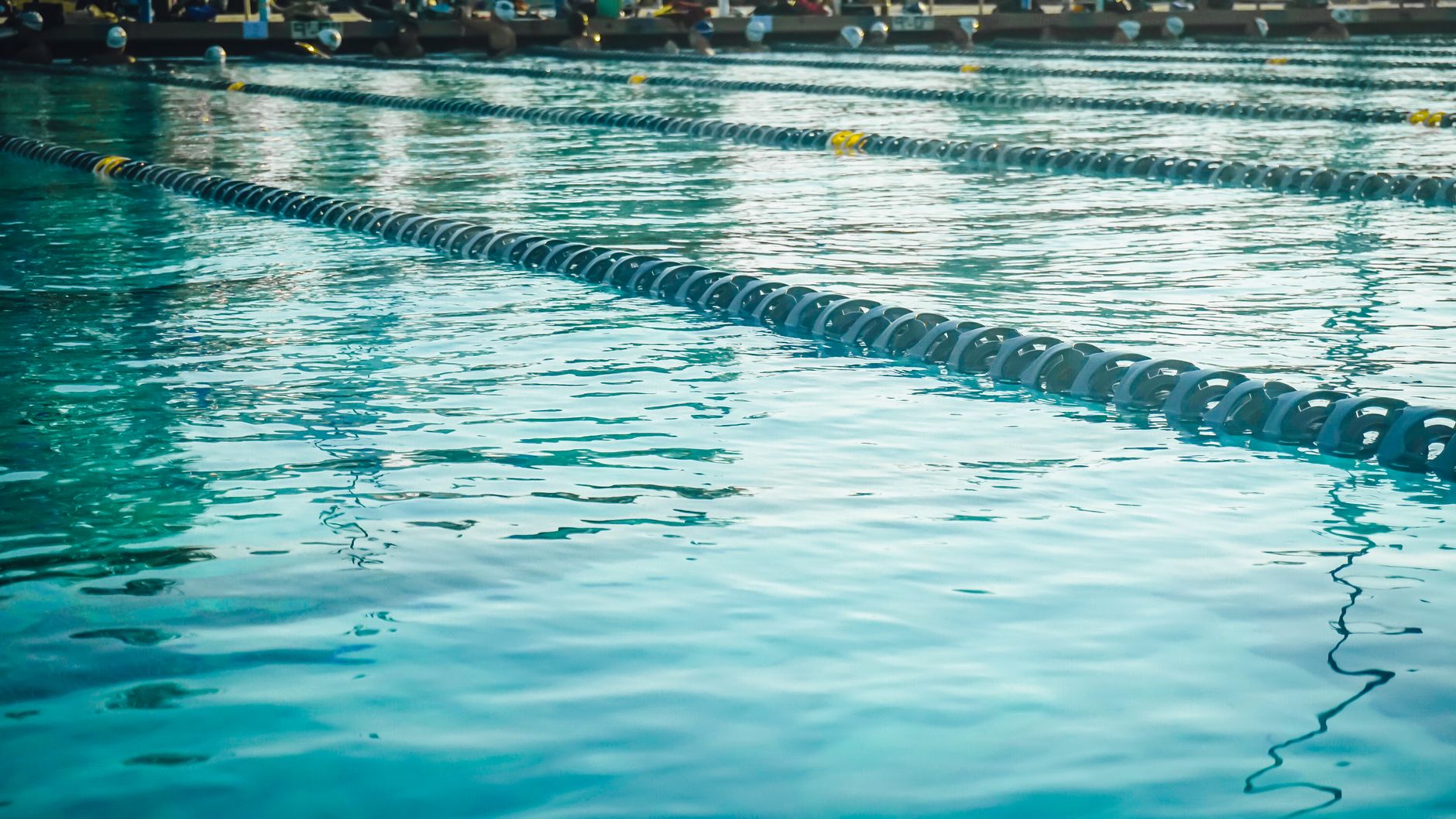 Piscine extérieure avec couloirs de nage
